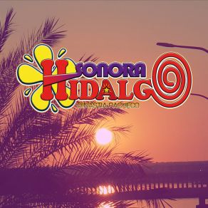 Download track Vuelve Mi Amor Sonora Hidalgo