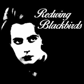 Download track Rising Cloud Of Grey (Christian's Mix) Redwing Blackbirds