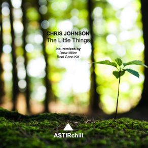 Download track The Little Things (Drew Miller Remix) Chris Johnson