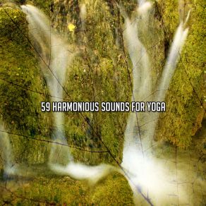 Download track Nourishing Yoga Impulse Forest Sounds