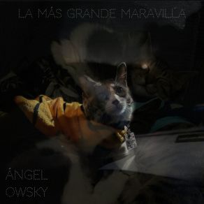 Download track Levedad Del Amor Ángel Owsky