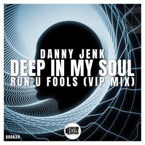 Download track Run U Fools (VIP MIX) Danny Jenk