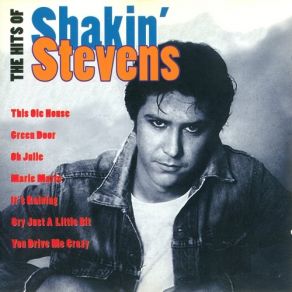 Download track A Rockin' Good Way (To Mess Around And Fall In Love) (Duet With Bonnie Tyler) Shakin' StevensBonnie Tyler