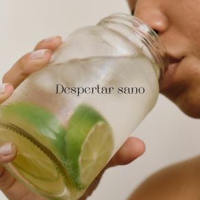 Download track Despertar Sano Mañanas Revitalizantes