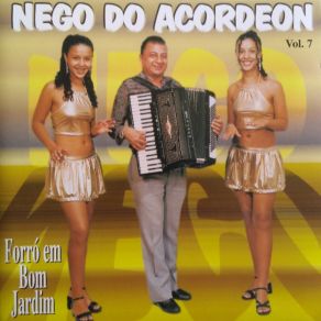 Download track Baião Da Saudade Nego Do Acordeon