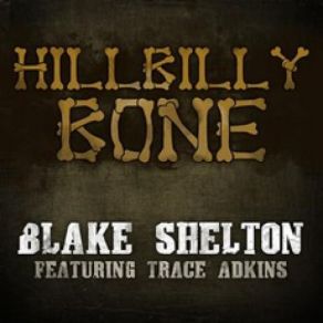 Download track Can't Afford To Love You Blake Shelton