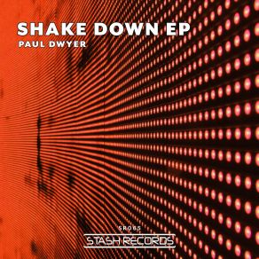 Download track Shake Down & Boogie (Original Mix) Paul Dwyer