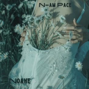 Download track N-Am Pace Noahe