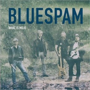 Download track One Of A Kind Bluespam