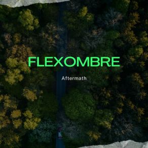 Download track Megusto Flexombre