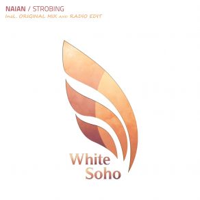 Download track Strobing (Radio Edit) Naian