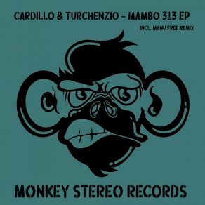 Download track Mambo 313 (Original Mix) Turchenzio