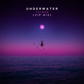 Download track Underwater (VIP Mix) Tujamo