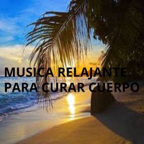 Download track Centro De Energía Musica Para Curar Cuerpo