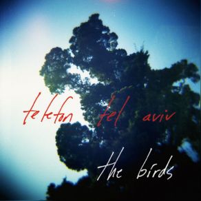 Download track The Birds (Ellen Allien Remix) Telefon Tel Aviv