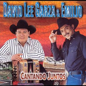 Download track Que Mala Sangre Tienes David Lee Garza