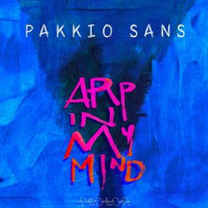 Download track Changing Your Mind (Instrumental Mix) Pakkio Sans