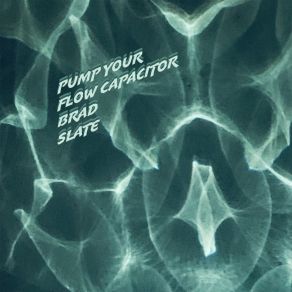 Download track Pump Your Flow Capacitor Brad Slate