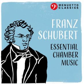 Download track Piano Trio In B-Flat Major, D. 28 Franz Schubert