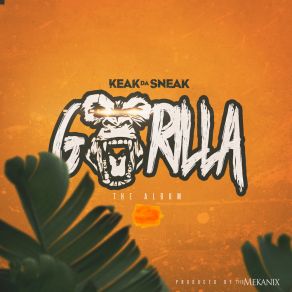 Download track Check It Out Keak Da Sneak4 Rax