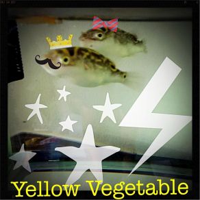 Download track The Strokegiver Yellow Vegetable