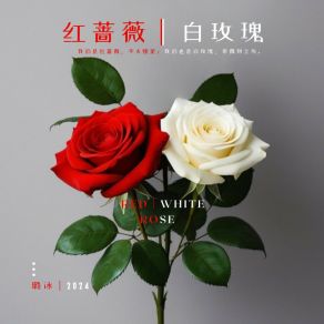 Download track 红蔷薇 白玫瑰 (伴奏版) Lu Bing