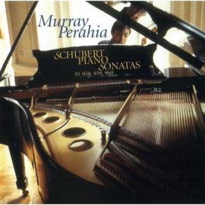 Download track 01. Sonata In B-Flat Major For Piano D. 960: I. Molto Moderato Franz Schubert