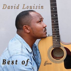 Download track Lamour Sucre (Version 2017) David Louisin