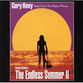 Download track Theme From The Endless Summer Gary Hoey