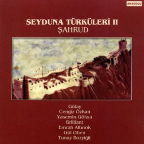 Download track Seyduna Ağıdı Kazım Koyuncu, Brilliant