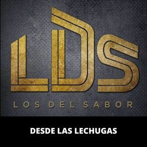 Download track Se Me Perdio La Cadenita / El Viejo Del Sombreron LDS Los Del Sabor