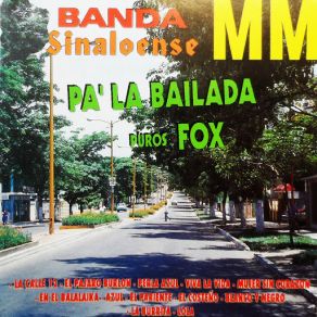 Download track Azul Banda Sinaloense MM