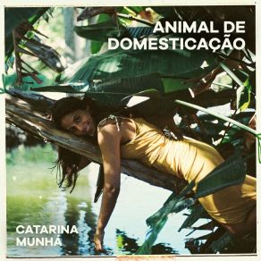 Download track Rés-Do-Meu-Chão Catarina Munhá