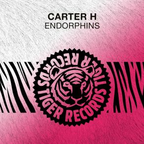 Download track Endorphins (Radio Edit) Carter H