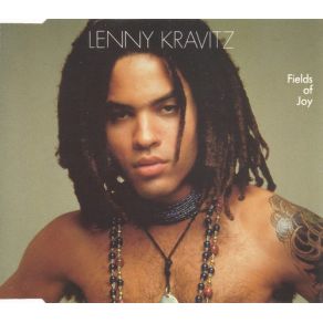 Download track Always On The Run (Live) Lenny Kravitz