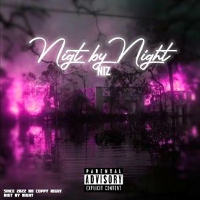 Download track Night By Night Niz