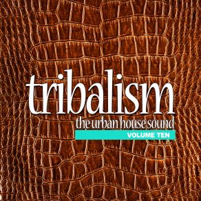 Download track Tribal World Miguel Cid