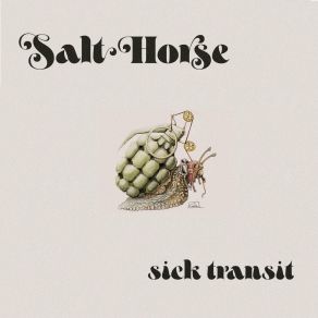 Download track Abuse Of Power Comes As No Surprise Salt Horse