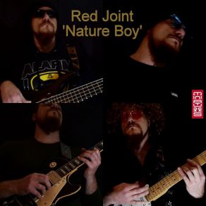 Download track Nature Boy (Tali Freaks Remix) Red Joint