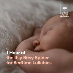 Download track 1 Hour Of The Itsy Bitsy Spider For Bedtime Lullabies, Pt. 23 Itsy Bitsy Spider