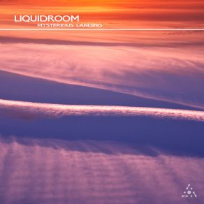 Download track Switch Of Reality Liquidroom