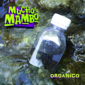 Download track Mambo Batá Mucho Mambo