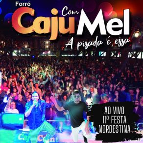 Download track Ei Sextou (Ao Vivo) Forró Cajú Com Mel