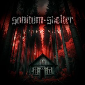 Download track Miedo A Caer Sonitum Shelter