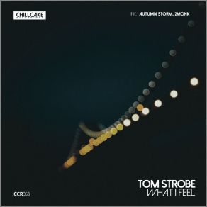 Download track Love Tom StrobeAutumn Storm