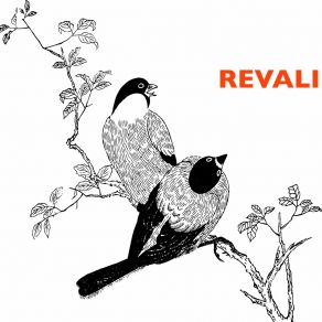 Download track Doomed Revali