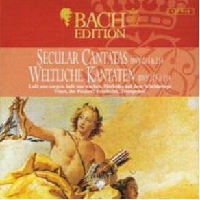 Download track Laßt Uns Sorgen, Haßt Uns Wachen BWV 213 - VII Aria (Tenore) Johann Sebastian Bach