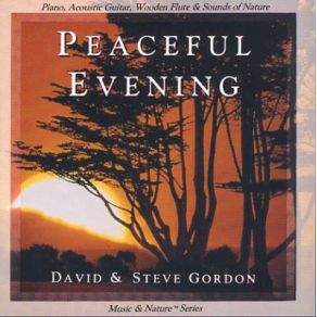 Download track Changing Hues David & Steve Gordon