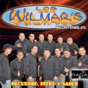 Download track Dame Una Noche Los Wilmar's