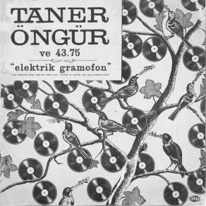 Download track Ah Fatma Taner Öngür, 75